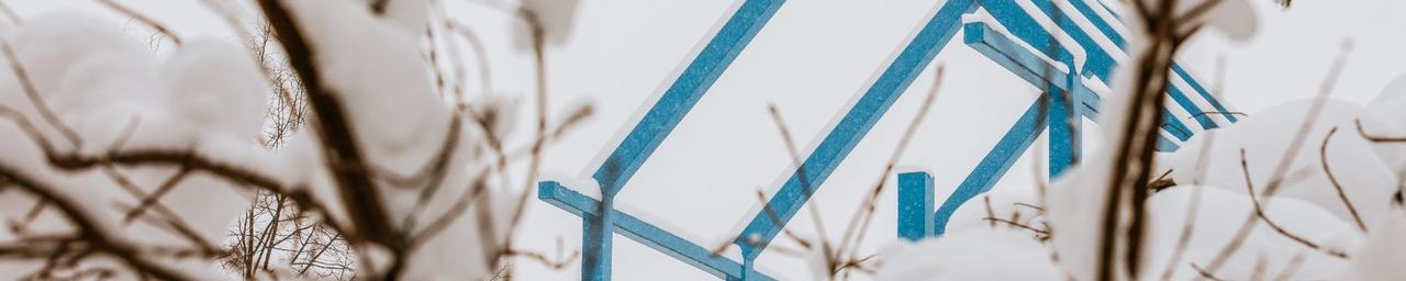 Transformational Link in view between snowy branches